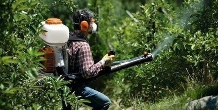 Növényvédelmi permetezés Szentendrén