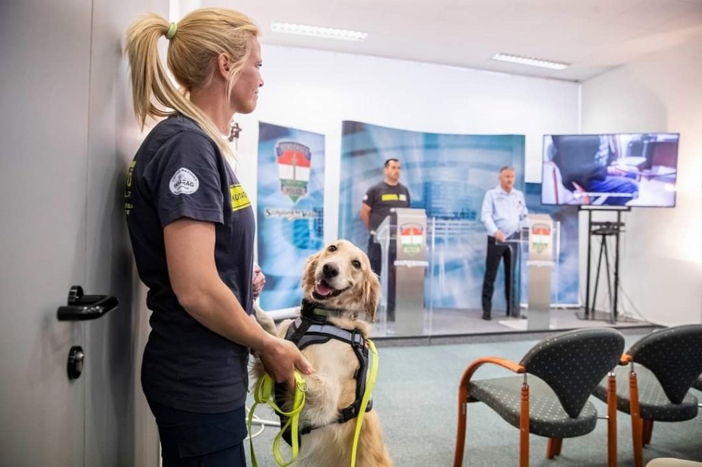 A Pest Megyei Kutató-Mentő Szolgálat keresőkutyája is segített az áldozat megtalálásában