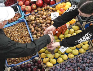 Áfacsökkenés után, szentendrei körkép