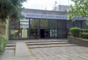 Megválasztották a Hamvas Béla Pest Megyei Könyvtár igazgatóját