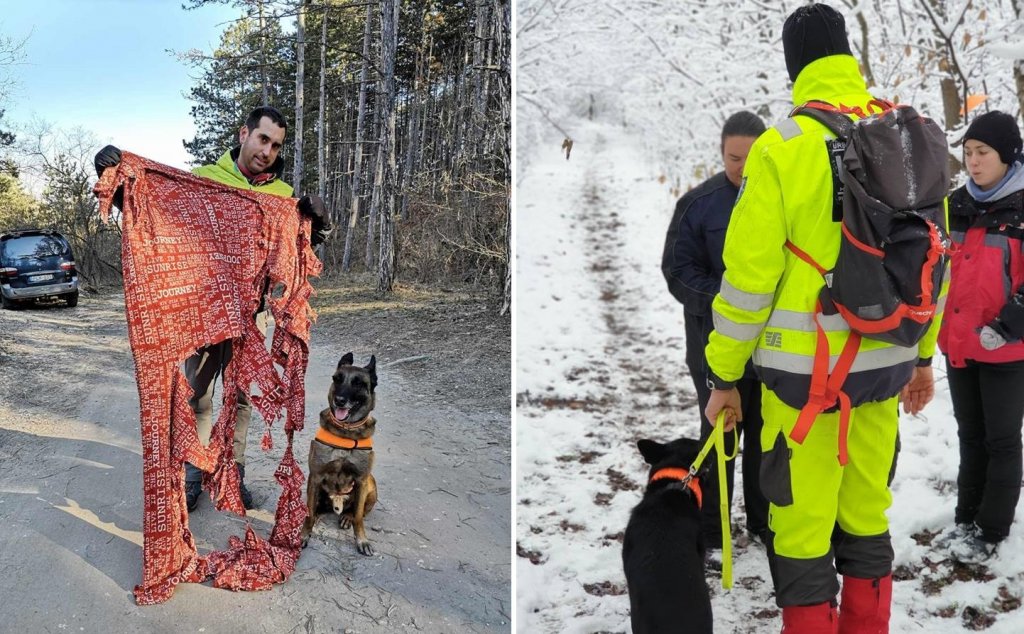 Mentőkutyás gyakorlat Szentendrén