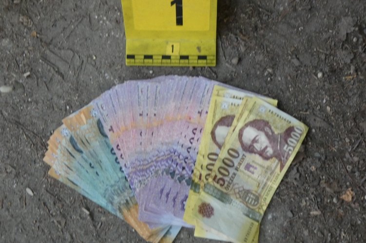 Egy fa tövében ásta el a lopott pénzt egy 52 éves nő