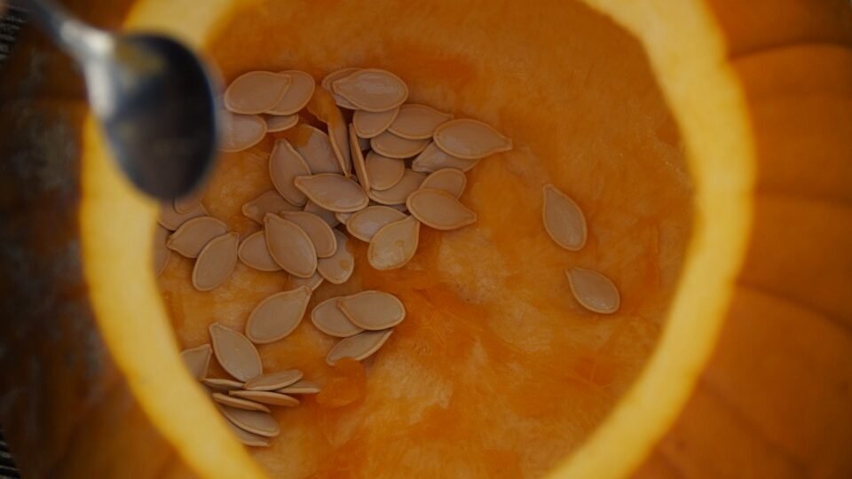 Töklámpás készítés a Mentáskert piacon 