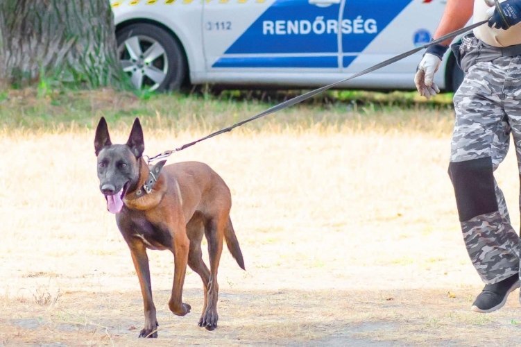 Leendő szolgálati kutyák gazdáinak jelentkezését várja a rendőrség