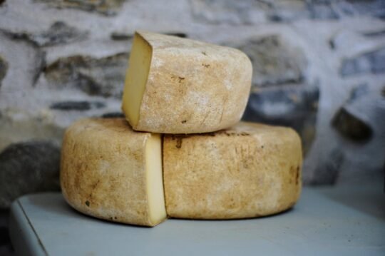 Pomázon készítik Európa egyik legjobb sajtját