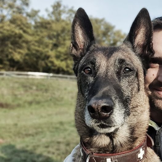 Elpusztult Symba, az egyik leghíresebb magyar mentőkutya