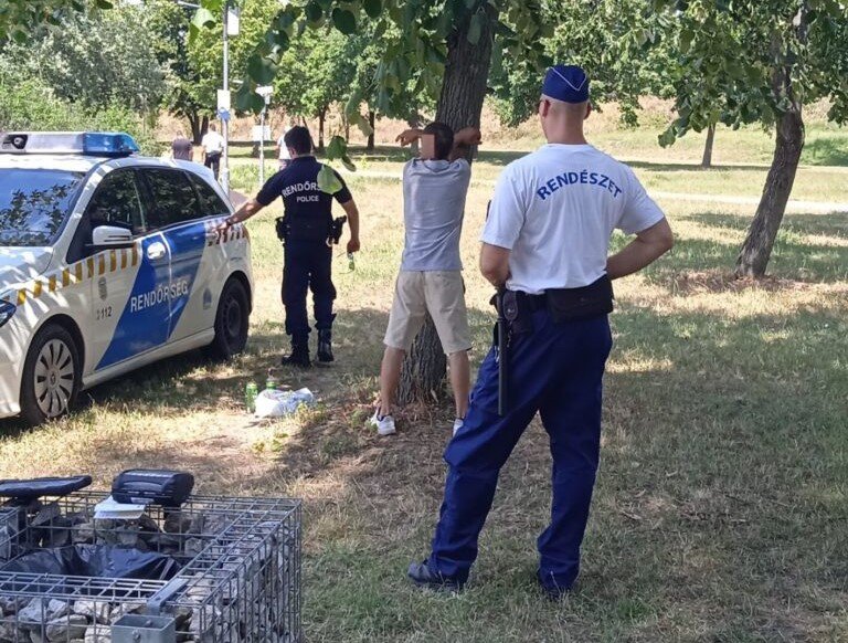 Újabb szatírt kaptak el Budakalászon