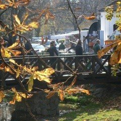 Pályázható a Bükkös-parti piac üzemeltetése