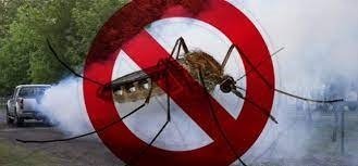 Szúnyoggyérítés lesz csütörtökön Budakalászon