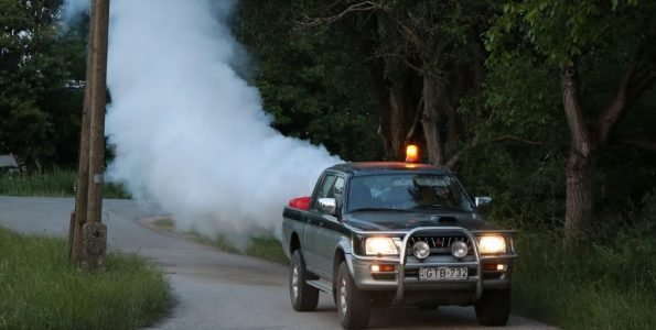 Szúnyoggyérítés lesz Szentendrén július közepén