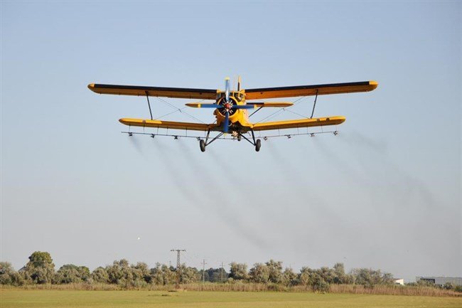 Információk a szúnyoggyérítésről