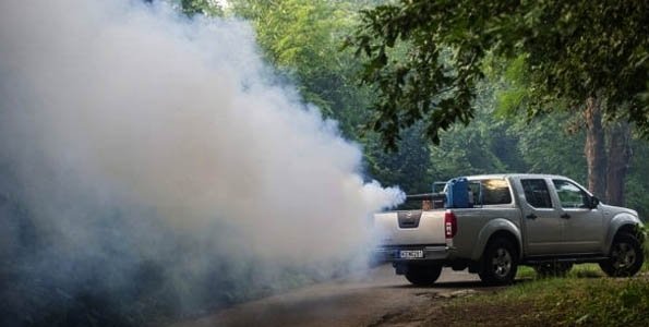 JÚLIUS 23-ÁN ÚJRA FÖLDI-KÉMIAI SZÚNYOGGYÉRÍTÉS LESZ SZENTENDRÉN