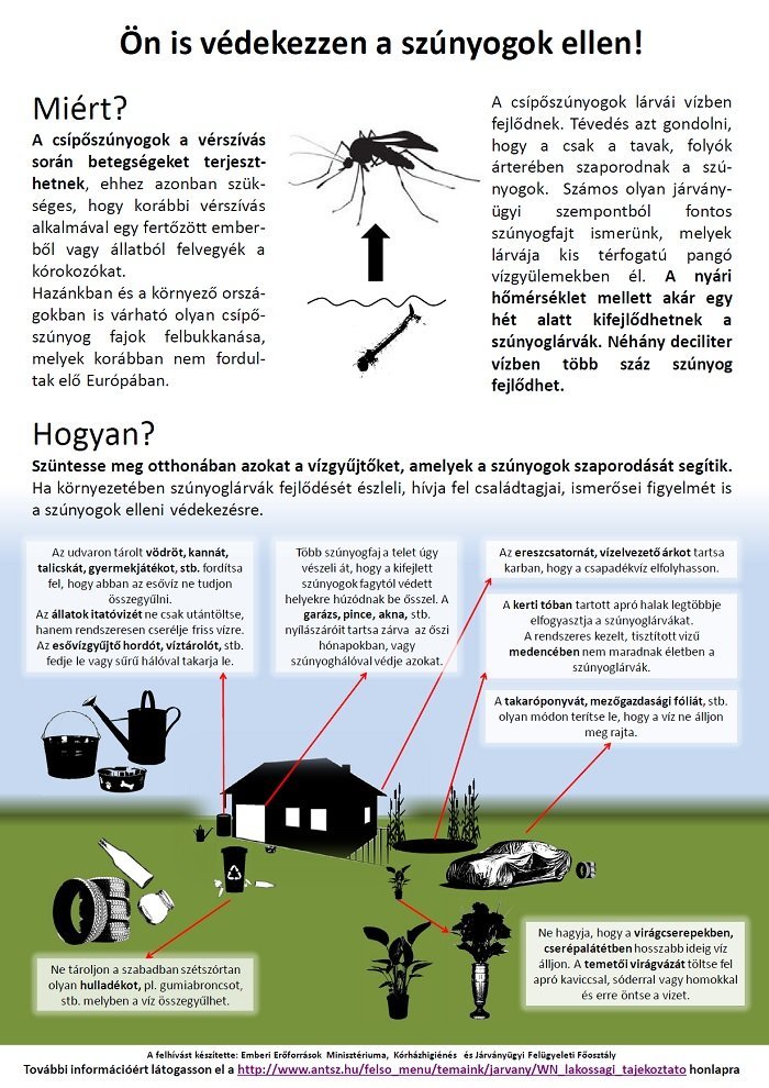 Szombaton este ismét szúnyoggyérítés lesz Szentendrén!