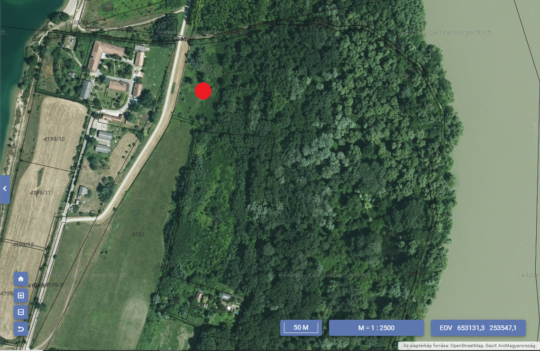 Több mint 500 fát ültetnek a Duna-partra