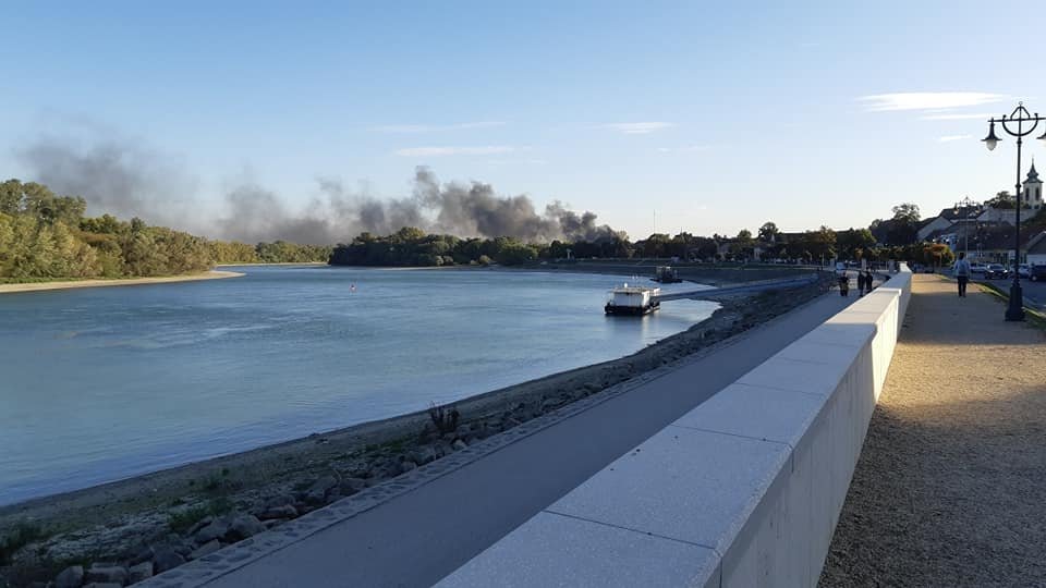 Megakadályozták a tűz továbbterjedését Szentendrén