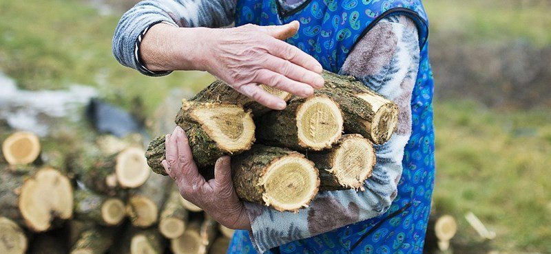 Felhívás tűzifa beszerzéssel kapcsolatban 