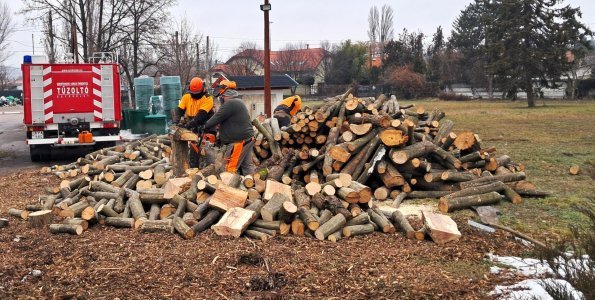 Önkéntesek dolgoznak a szociális tűzifa előkészítésén
