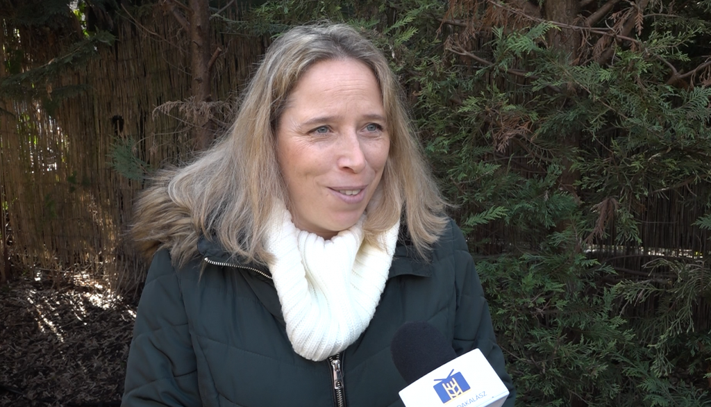 Budakalászi állatorvos tanácsai kezdő macskatartóknak