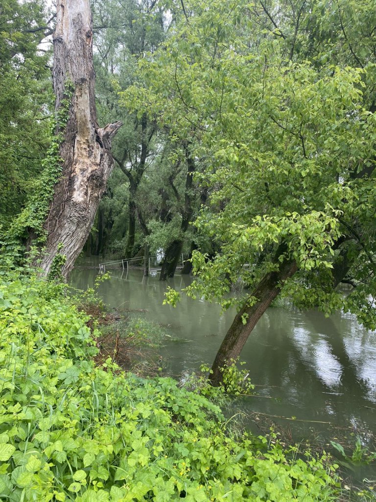 Víz alá került a nemzetközi kerékpárút budakalászi szakasza