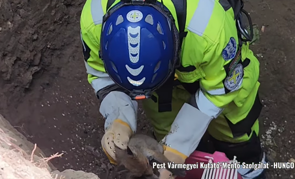 Halálos kimenetelű hajóbaleset történt a Duna verőcei szakaszánál 