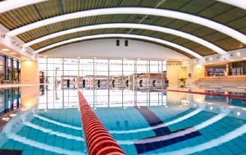 Dr. Juhász László a V8 új ügyvezetője