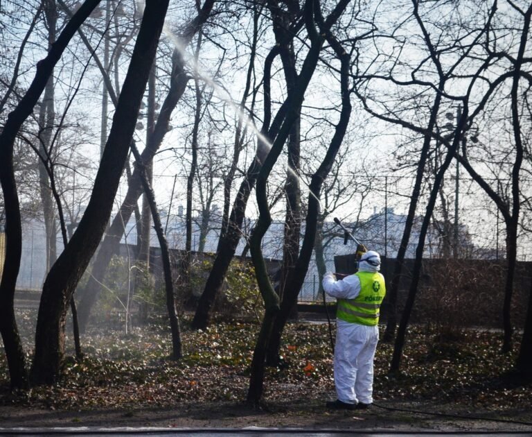 Közterületi permetezés lesz Budakalászon a hétvégén