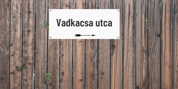 FiImforgatás a Vadkacsa utcában