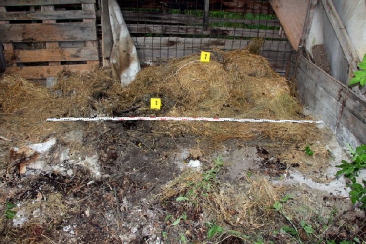 Tartozás miatt ölték meg a vállalkozót