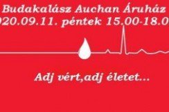 Véradás a budakalászi Auchan áruházban