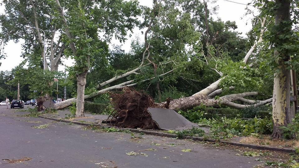 Jelentős károkat okozott az időjárás Pest megyében