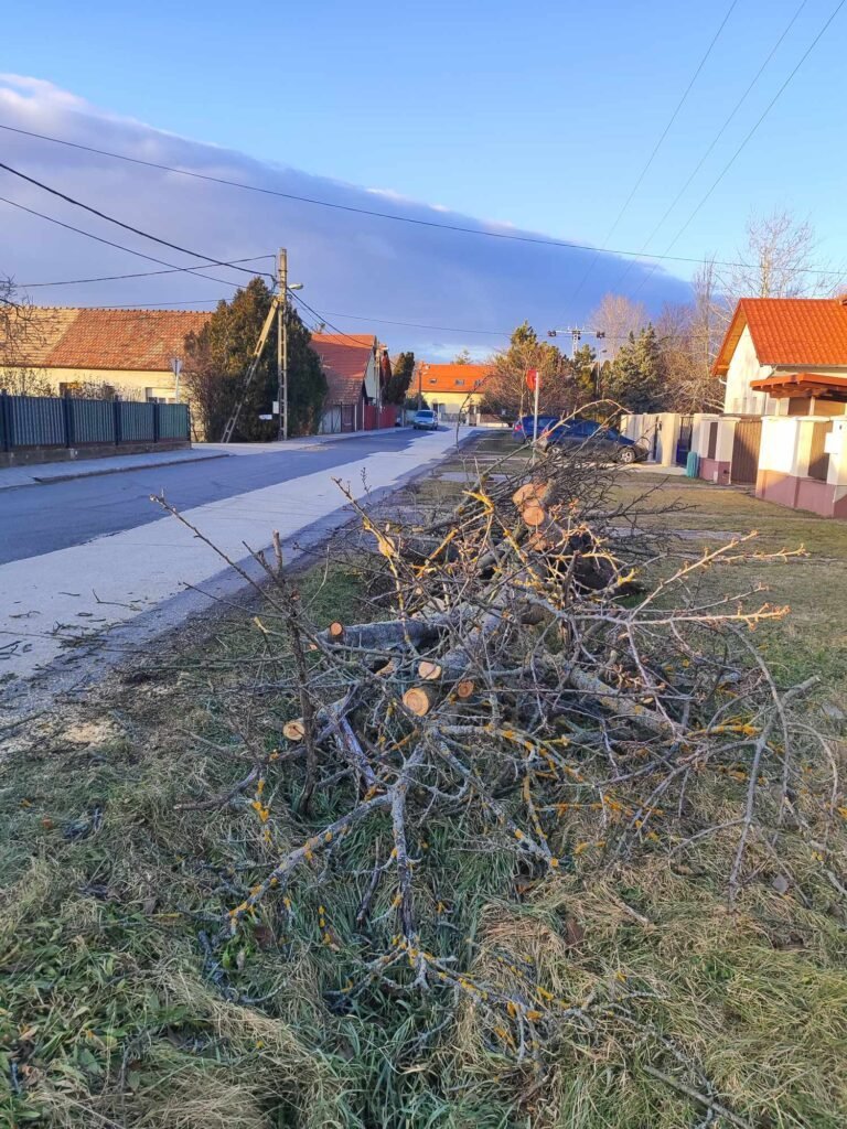 Folyamatban van a viharkárok elhárítása Budakalászon