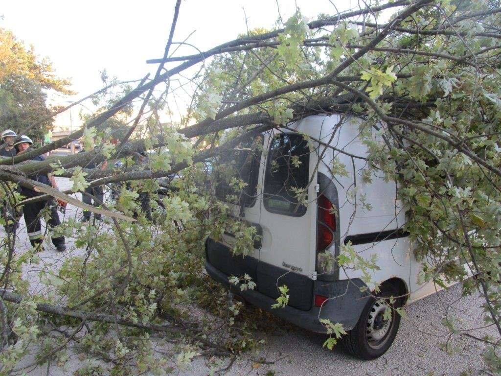 Viharkárok Pest megyében