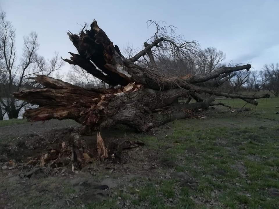 Viharkárok Pest megyében