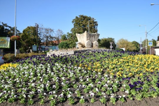 Új virágokat ültettek a Kalászi kocsi szobor köré