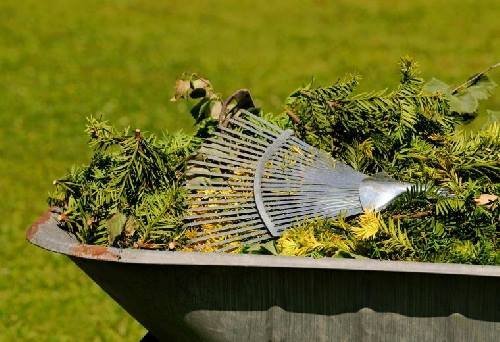 Augusztusban 4-én és 18-án szállítják el a zöldhulladékot