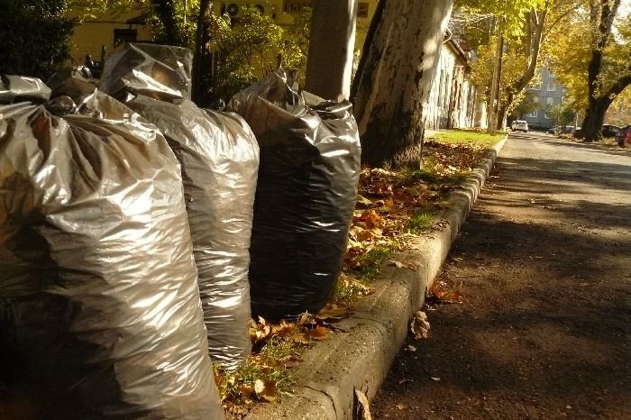 Ismét korlátlan zöldhulladék elszállítás novemberben