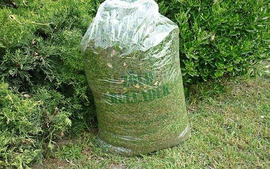 Falevél,fű,gally: elszállítják a zöldhulladékot