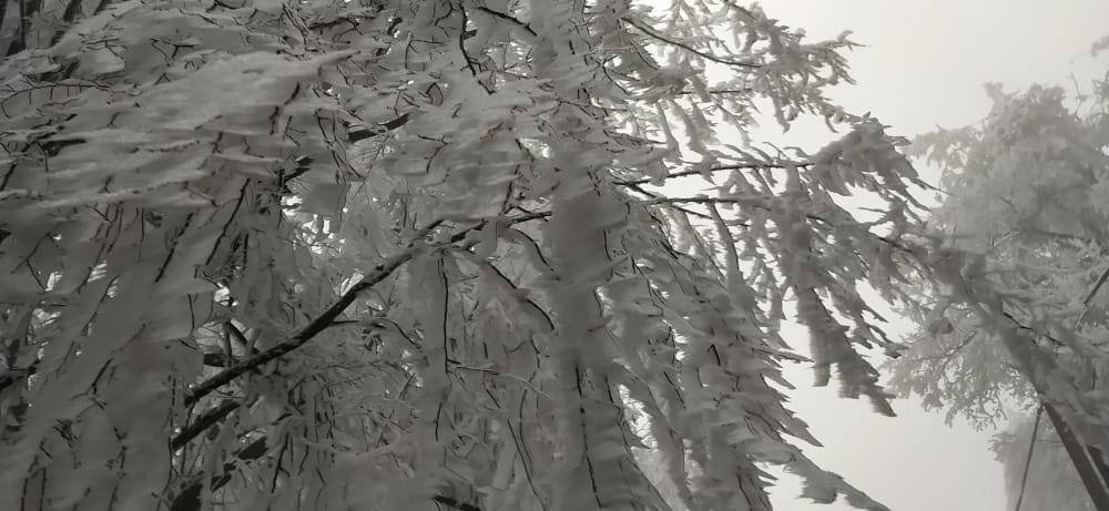 Fokozott óvatossággal érdemes most kirándulni